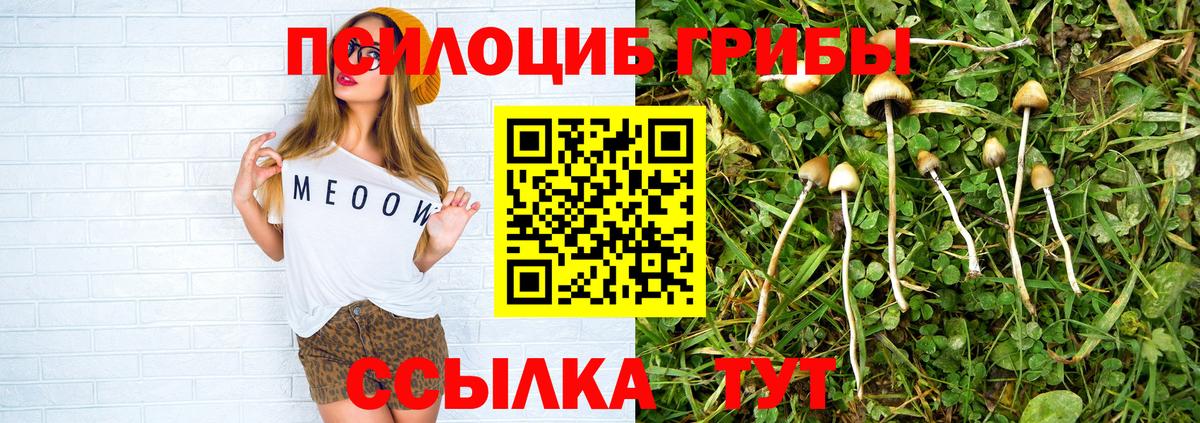 Псилоцибиновые грибы ЛСД  Галлюциногенные грибы Cubensis  Ливны  Вход с VPN 